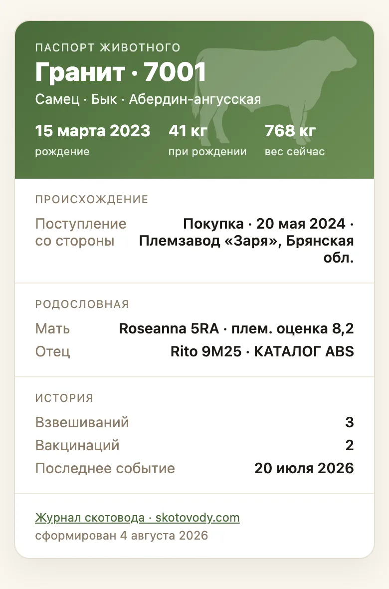 Публичный паспорт быка Гранита: происхождение, родословная, история событий