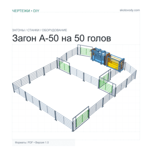 Загон А-50 обзор