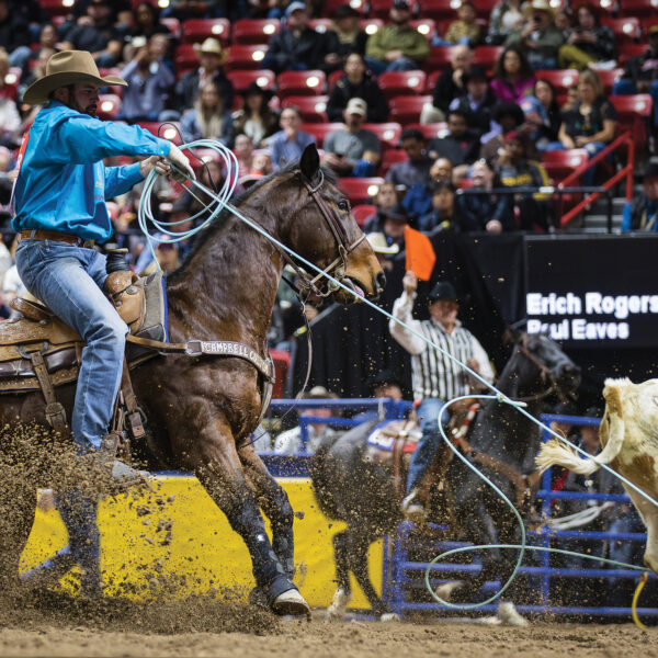 Лассо с утяжеленной нижней прядью Classic Rope Powerline Lite — 30’ (9,15 м), Ø 9,7 мм