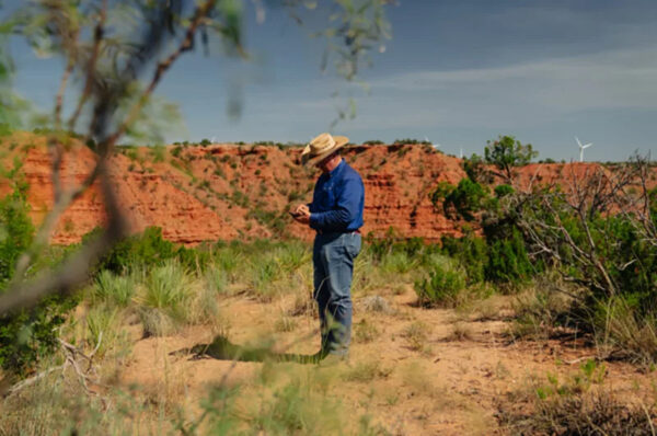 NoFence - Фермер Боб управляет стадом