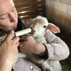 Комплексное зоотехническое и ветеринарное сопровождение ферм